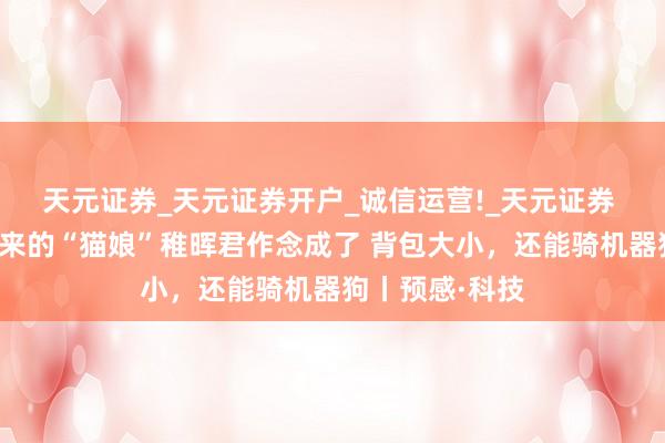 天元证券_天元证券开户_诚信运营!_天元证券 马斯克没造出来的“猫娘”稚晖君作念成了 背包大小，还能骑机器狗丨预感·科技